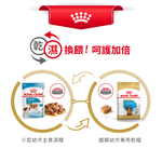 Royal Canin Dachshund Puppy DSP, , large