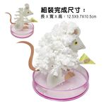 GS MALL 台灣製造 魔法成長錢鼠 魔法開花鼠 成長鼠 錢鼠 神奇錢鼠 紙花 開花鼠 裝飾樹 開花樹, , large