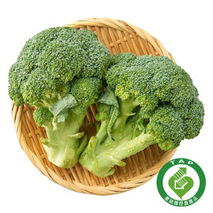 TAP Broccoli (2pcs)
