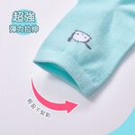 Sanrio 三麗鷗 酷企鵝中統襪(6雙組)布丁狗 帕恰狗 女長襪 長襪 韓系中筒襪襪 長襪【旺達棉品】組合包, , large