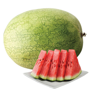 Big watermelon 20tkg up