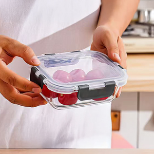 Borosilicate Glass Food Storage Container