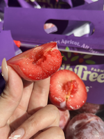 Sweetheart Plum, , large