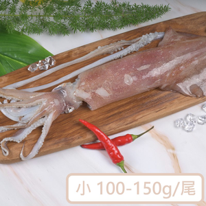 【一夫水產】海釣透抽－小