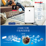 SHARP 夏普 12L 1級自動除菌離子清淨除濕機 DW-L12FT-W, , large