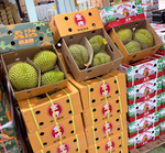 Kanyao Durian, , large