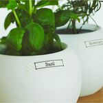 *需預訂【KING JIM】TEPRA LITE 熱感式標籤薄膜自黏膠帶 15mm(金/銀)銀色(TPT15-016), , large