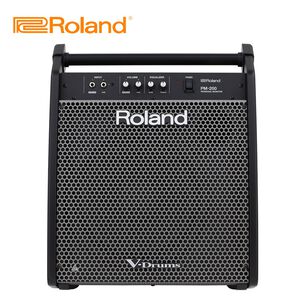 ROLAND PM200 電子鼓專用音箱【敦煌樂器】