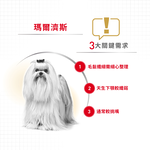 Royal Canin Maltese Adult MTA, , large