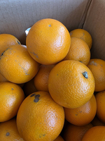 [芯鮮果]台灣嚴選( 柳丁 ), , large