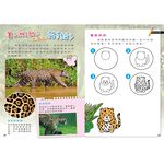[小牛頓]PLAY&LEARN：雨林探險 適合5-8歲 平裝全彩 高階遊戲書, , large