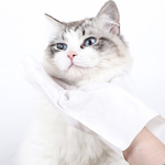 手套濕巾 6片裝 寵物清潔手套 寵物乾洗澡 寵物免洗手套 乾洗 清潔 寵物 乾洗手套 寵物免洗手套濕巾 寵物洗澡, , large