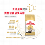 【Royal Canin法國皇家】波斯成貓P30, , large