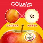 Ambrosia Apple#90, , large