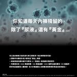 【AREXSPORT台灣製】AS-3419抑菌女內褲 銀纖維內褲 竹炭女內褲 女三角運動內褲 竹炭消臭 台灣製銀纖維抑菌, , large