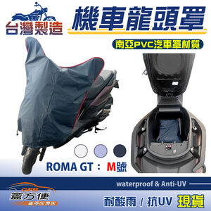 CAR COVER
