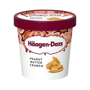 Haagen dazs Peanut Butter Crunch Ice Cre
