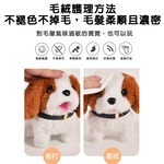 【啾愛你】可愛電動寵物-兔子 附寵物行李箱-藍色, , large