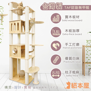 【貓本屋】台灣製 豪華款 橢圓太空艙/加大雙貓屋 加粗白麻柱 實木貓跳台(附劍麻抓板/球)