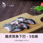 Grouper, , large