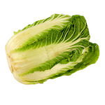 Imported Shan Ton Chinese Cabbage, , large