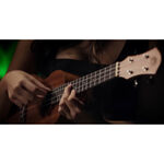 instrument, , large