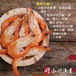 Live-Frozen Whiteleg Shrimp, , large