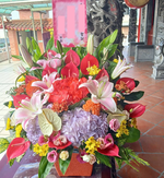potted flowers for worship and rituals, , large