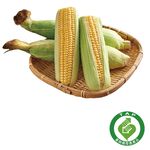 CFPLB corn, , large