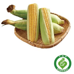 CFPLB corn