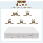 【日本旭川】AIRFit氧活力里昂立體透氣2.2cm空氣床墊 伊正推薦 舒適支撐 可水洗 6D透氣循環 高回彈, , large