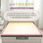 台灣製【藤原傢俬】冬夏兩用護背防螨抗菌10 cm彈簧床墊-硬, , large