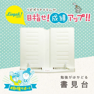 【龍品文創】SONIC LV-7450-I 看書架