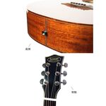 instrument, , large