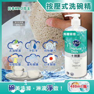 [日日好物]日本KAO花王-珂珂透CUCUTE按壓式去油除漬高效濃縮洗碗精480ml/大瓶(多款可選)