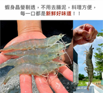 【一夫水產】產銷履歷/海水晶晶蝦－L, , large