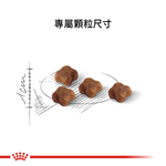 【拉拉寵物小舖】法國皇家 貓飼料 BC34 離乳貓與母貓專用乾糧 4公斤, , large