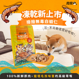 [撥撥] 無毒白蝦仁 - 東部純淨海水養殖，貓狗適用原肉凍乾｜每包20g