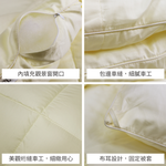 FITNESS_雙人天絲超細四季被胎, , large