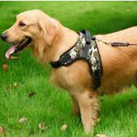 【寵愛生活本舖】中大型犬防爆衝胸背帶 寵物胸背帶 大型犬專用 馬鞍型胸背帶, , large