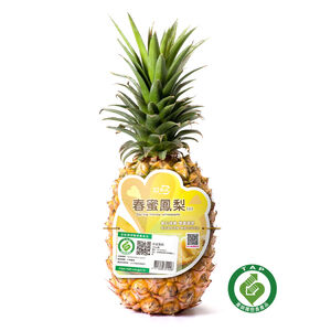 TAP Spring Pineapple/pc