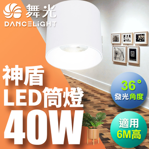 DanceLight舞光 40W 神盾筒燈 光束角36度 壓鑄鋁散熱快 全電壓 一體成形 時尚白/貴族黑(白光/黃光/自然光)