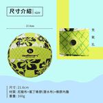 【Healgenart】造型花布充氣沙灘球 浮力球 水上運動 海灘戲水排球, , large