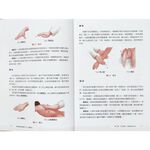 《南門書局》零基礎推拿按摩入門, , large