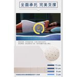【日本藤田】100%天然乳膠床墊3CM 折疊床墊 學生床墊 乳膠墊 摺疊床墊 泰國乳膠, , large