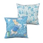 【世豐】PETER RABBIT 比得兔田園趣抱枕-田園趣(藍), , large