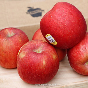 一起買水果 華盛頓有機富士蘋果質樸 (每盒20-22顆)※預計11月底採收陸續出貨