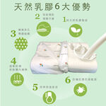 【Arnold Palmer雨傘牌】人體工學乳膠枕2入, , large