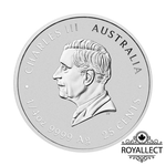 [皇家典藏] Perthmint 2025澳洲伯斯-生肖-蛇年-彩色版-1/4盎司銀幣(普鑄)(卡裝)(雪梨錢幣展版)(原廠已售罄), , large