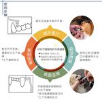 【寵愛生活本舖】日本Mind Up 寵物美白牙刷 擦牙棒 犬用/貓用 mindup, , large